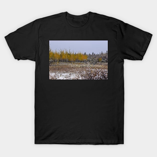 Light Snowfall. T-Shirt by CanadianWild418